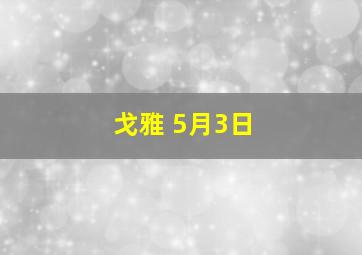 戈雅 5月3日